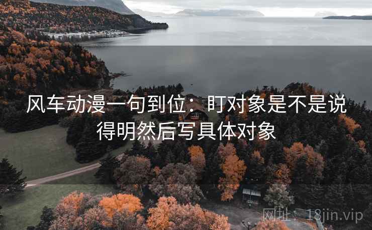 风车动漫一句到位：盯对象是不是说得明然后写具体对象